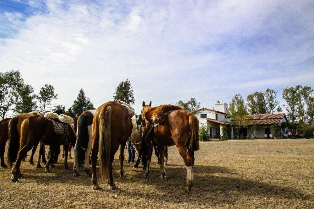 Finca Valentina El Encón Екстериор снимка
